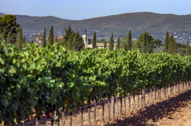 Allées de vignes de Château Rousset avec le clocher du domaine et les cyprès, Haute-Provence
